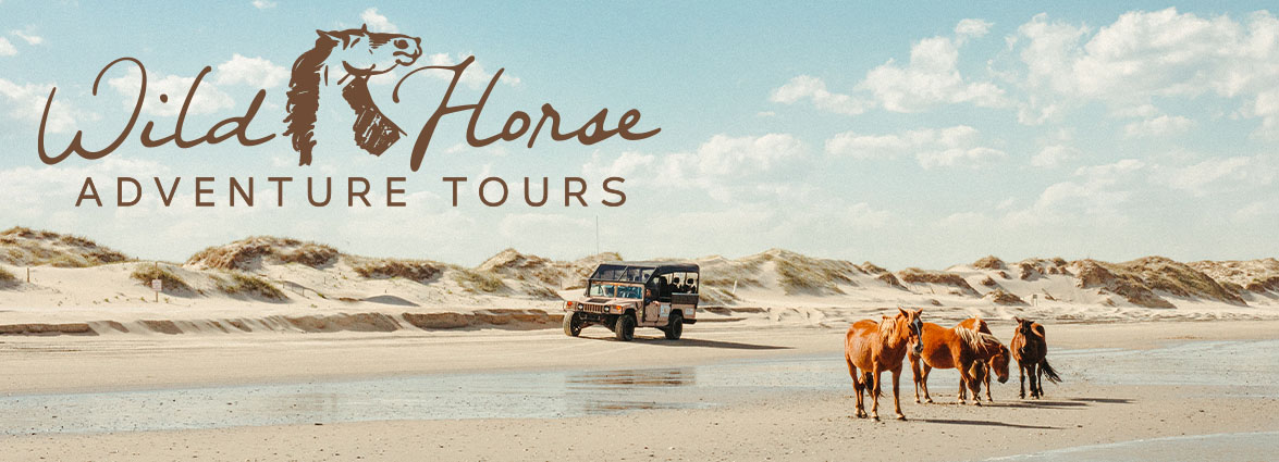 Wild Horse Adventure Tours