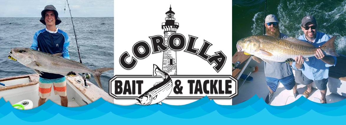 Corolla Bait and Tackle