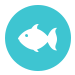 OBX Bait & Tackle Corolla Outer Banks Fishing Reports OBX Bait & Tackle Corolla Outer Banks Fishing Reports
