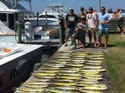 OBX Bait & Tackle Corolla Outer Banks, Corolla Fish Report