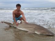 OBX Bait & Tackle Corolla Outer Banks, Corolla Fish Report