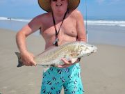 OBX Bait & Tackle Corolla Outer Banks, Corolla Fish Report