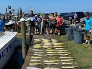 OBX Bait & Tackle Corolla Outer Banks, Corolla Fish Report