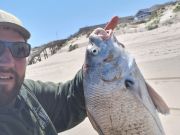 OBX Bait & Tackle Corolla Outer Banks, Corolla Fish Report