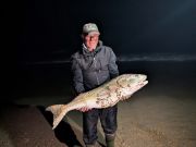 OBX Bait & Tackle Corolla Outer Banks, Corolla Fish Report