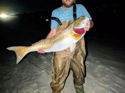OBX Bait & Tackle Corolla Outer Banks, Corolla Fish Report