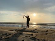 OBX Bait & Tackle Corolla Outer Banks, Corolla Fish Report