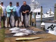 OBX Bait & Tackle Corolla Outer Banks, Corolla Fish Report