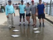 OBX Bait & Tackle Corolla Outer Banks, Corolla Fish Report