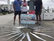 OBX Bait & Tackle Corolla Outer Banks, Corolla Fish Report