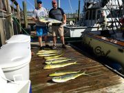 OBX Bait & Tackle Corolla Outer Banks, Corolla Fish Report