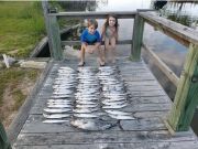 OBX Bait & Tackle Corolla Outer Banks, Corolla Fish Report