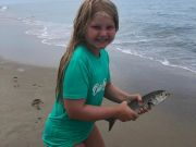 OBX Bait & Tackle Corolla Outer Banks, Corolla Fish Report