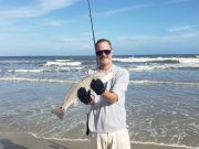 OBX Bait & Tackle Corolla Outer Banks, Corolla Fish Report