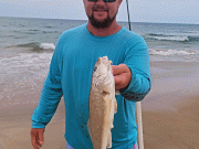 OBX Bait & Tackle Corolla Outer Banks, Corolla Fish Report