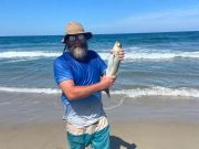 OBX Bait & Tackle Corolla Outer Banks, Corolla Fish Report