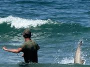 OBX Bait & Tackle Corolla Outer Banks, Corolla Fish Report