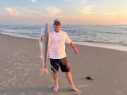 OBX Bait & Tackle Corolla Outer Banks, Corolla Fish Report