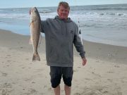 OBX Bait & Tackle Corolla Outer Banks, Corolla Fish Report