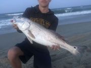 OBX Bait & Tackle Corolla Outer Banks, Corolla Fish Report