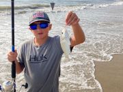 OBX Bait & Tackle Corolla Outer Banks, Corolla Fish Report