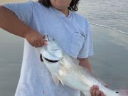 OBX Bait & Tackle Corolla Outer Banks, Corolla Fish Report