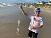 OBX Bait & Tackle Corolla Outer Banks, Corolla Fish Report