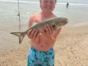 OBX Bait & Tackle Corolla Outer Banks, Corolla Fish Report