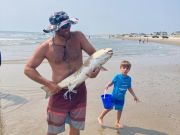 OBX Bait & Tackle Corolla Outer Banks, Corolla Fish Report