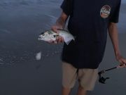 OBX Bait & Tackle Corolla Outer Banks, Corolla Fish Report