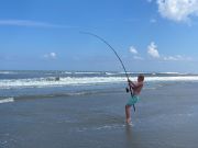 OBX Bait & Tackle Corolla Outer Banks, Corolla Fish Report