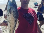 OBX Bait & Tackle Corolla Outer Banks, Corolla Fishing Report