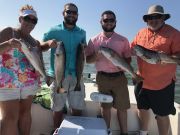 OBX Bait & Tackle Corolla Outer Banks, Corolla Fishing Report