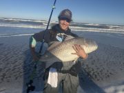 OBX Bait & Tackle Corolla Outer Banks, Corolla Fish Report