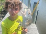 OBX Bait & Tackle Corolla Outer Banks, Corolla Fish Report