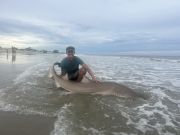 OBX Bait & Tackle Corolla Outer Banks, Corolla Fish Report