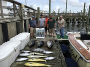 OBX Bait & Tackle Corolla Outer Banks, Corolla Fishing Report