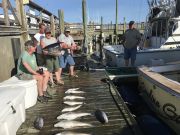 OBX Bait & Tackle Corolla Outer Banks, Corolla Fishing Report