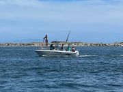 OBX Bait & Tackle Corolla Outer Banks, Corolla Fish Report