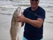 OBX Bait & Tackle Corolla Outer Banks, Corolla Fish Report