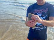 OBX Bait & Tackle Corolla Outer Banks, Corolla Fish Report