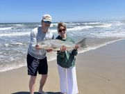 OBX Bait & Tackle Corolla Outer Banks, Corolla Fish Report