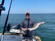 OBX Bait & Tackle Corolla Outer Banks, Corolla Fish Report