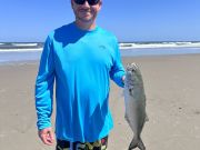 OBX Bait & Tackle Corolla Outer Banks, Corolla Fish Report