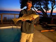 OBX Bait & Tackle Corolla Outer Banks, Corolla Fish Report