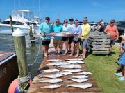 OBX Bait & Tackle Corolla Outer Banks, Corolla Fish Report