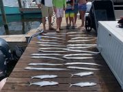 OBX Bait & Tackle Corolla Outer Banks, Corolla Fish Report