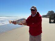 OBX Bait & Tackle Corolla Outer Banks, Corolla Fish Report