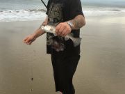 OBX Bait & Tackle Corolla Outer Banks, Corolla Fishing Report