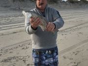 OBX Bait & Tackle Corolla Outer Banks, Corolla Fish Report